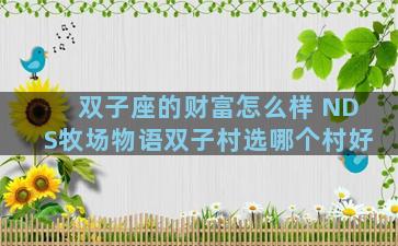 双子座的财富怎么样 NDS牧场物语双子村选哪个村好
